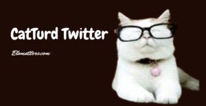 Catturd Twitter: Controversial Twitter Account You Can’t Ignore