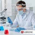 Designing the Perfect Knock-In Strategy: A Step-by-Step Guide