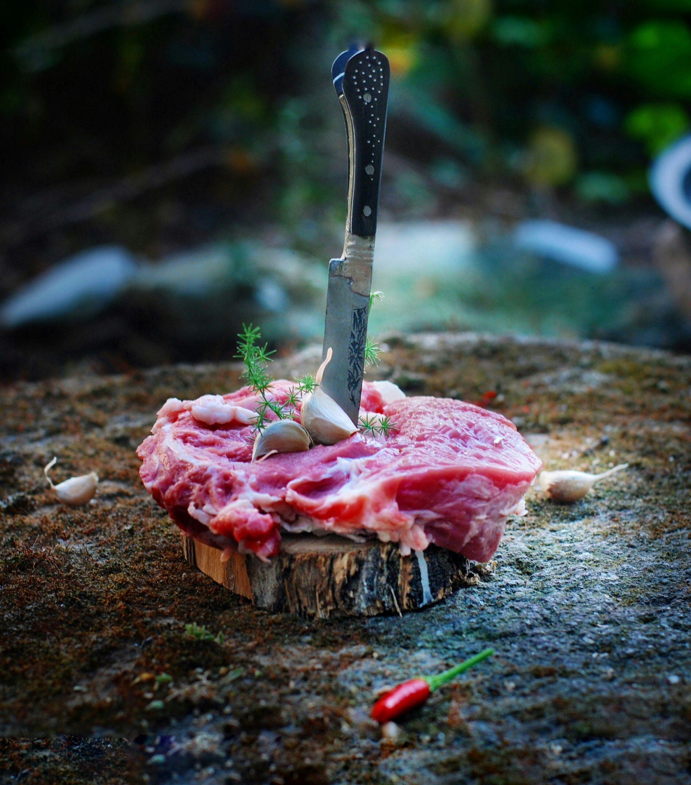 carving meat knife
