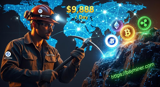 BAY Miner