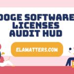 Doge Software Licenses Audit HUD