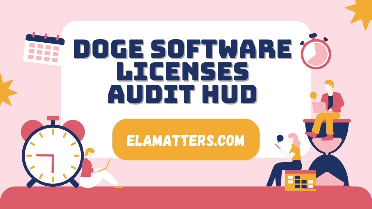 Doge Software Licenses Audit HUD