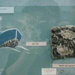 Exploring the World of Jr Geo: A Beginner's Guide