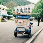 Afruimwagens: Specialized Carts for Hauling and Transport