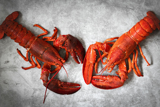 A 2025 Review Of Maine Lobster Now