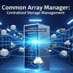 Common Array Manager
