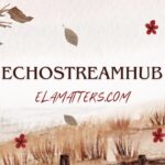 EchoStreamHub
