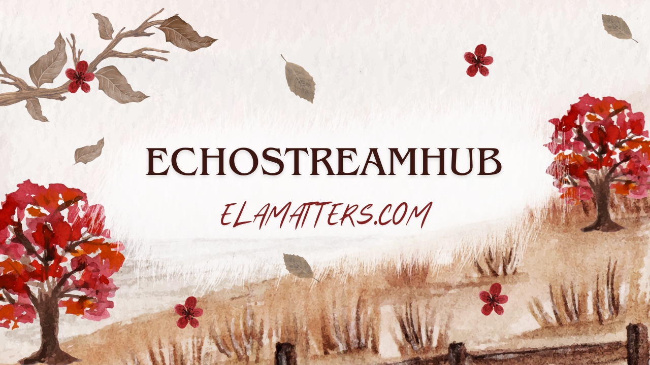 EchoStreamHub