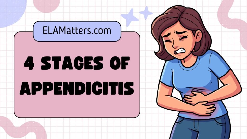 Appendix Four 4 Stages of Appendicitis - Symptoms, Causes & Treatment